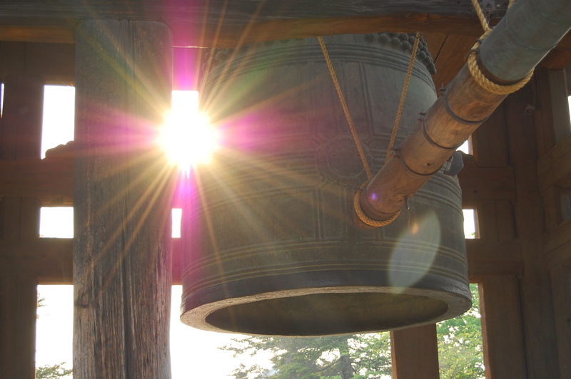 sun, human body part, leisure activity, 2K, casual clothing, human foot, standing, outdoors, sunlight, low angle view, lens flare, nara prefecture, japan