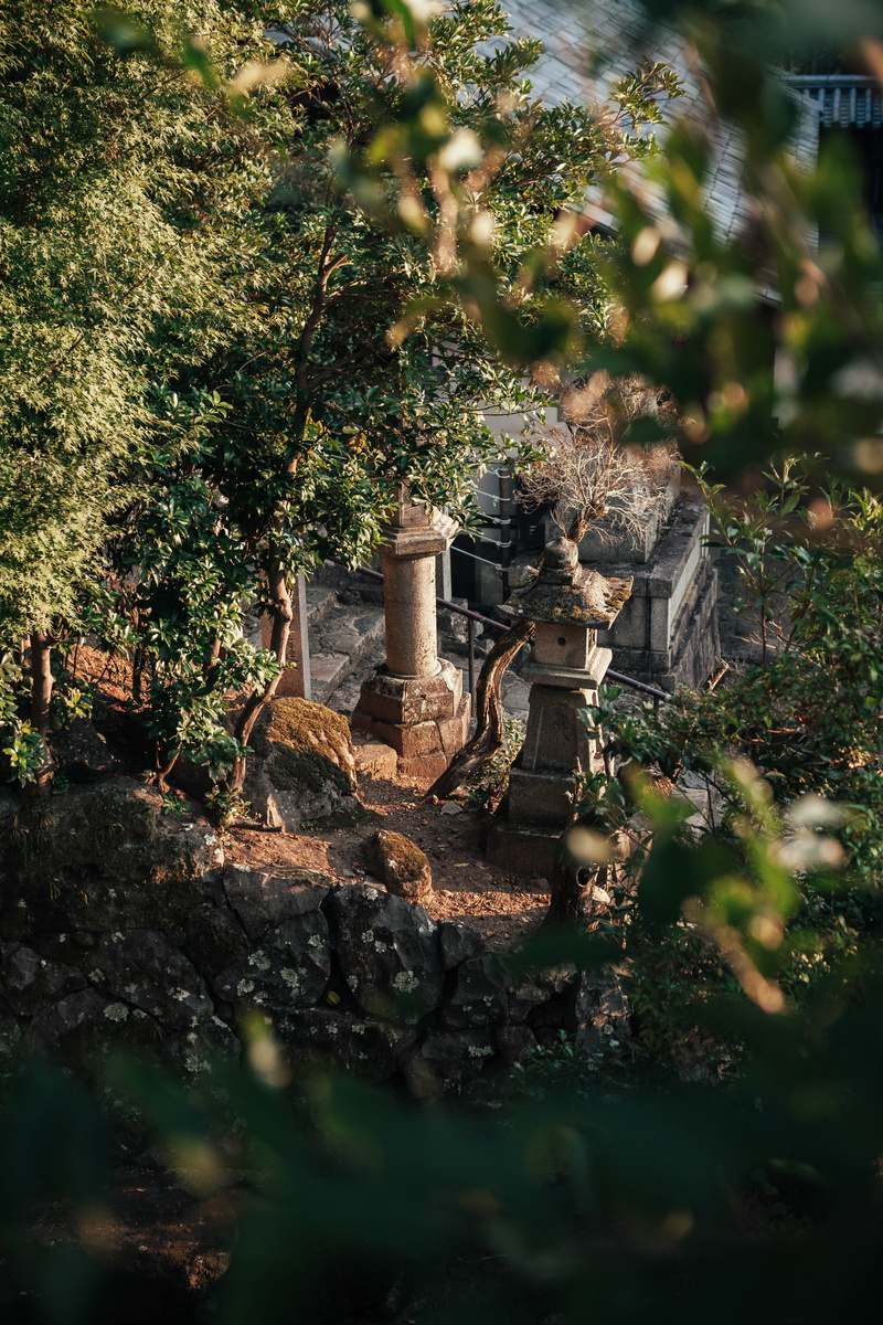 bonsai, plant, land, vase, pottery, outdoors, built structure, no people, architecture, plants, the past, water, nature, history, day, sculpture, growth