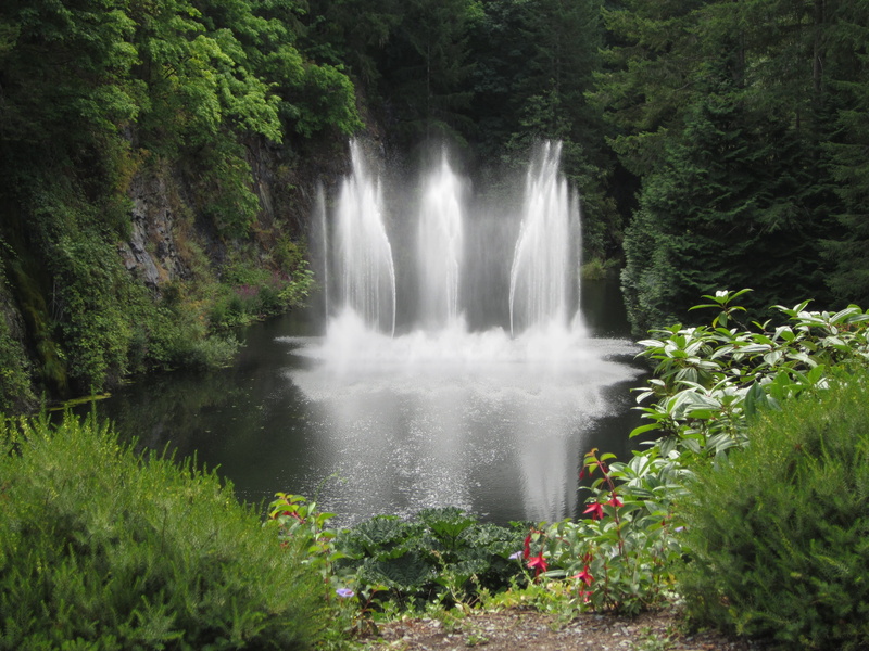 4K, plant, surrounded, park, trees, butchart garden, daytime, motion, scenics - nature, power in nature, forest, waterfall, long exposure, victoria, foliage