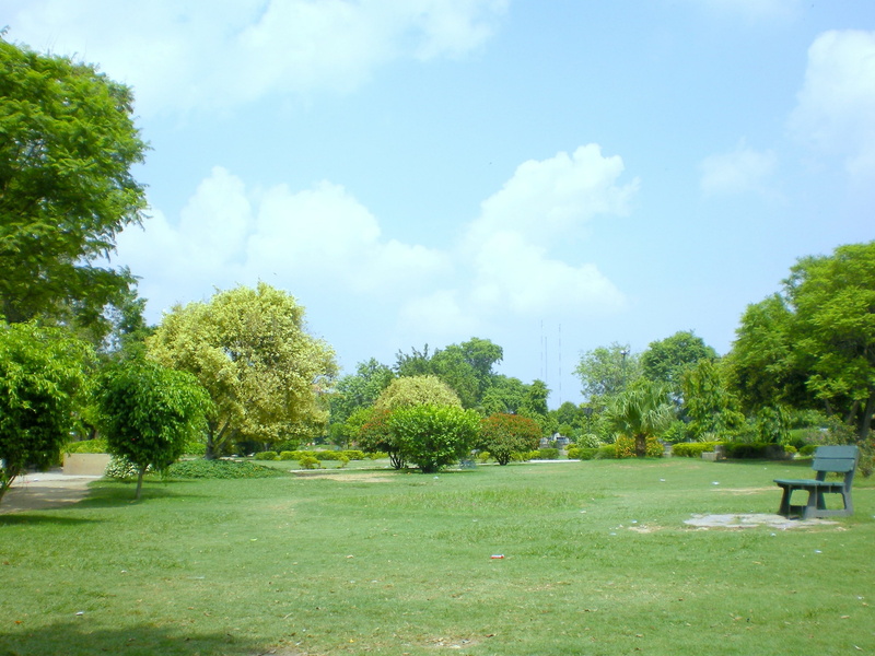 garden, solemn garden, trees, green, 2K, hd, flowers, flower, grassfield, nature, solemn