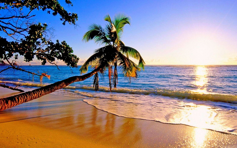 2K, paradise, beautiful, beach