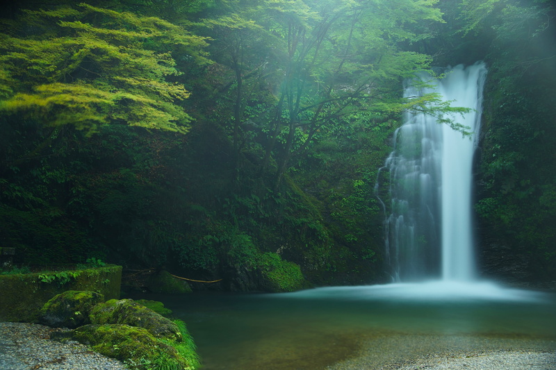 rock, 4K, forest, land, power in nature, leafed, non-urban scene, scenics - nature, green color, solid, Fujinomiya, no people, Japan, waterfalls, environment
