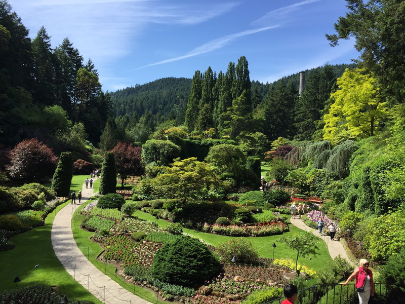 green, sky, scenic, tranquility, canada, environment, blossom, gardening, tranquil scene, nature, growth, park, day, garden, green color, sunlight, 2K