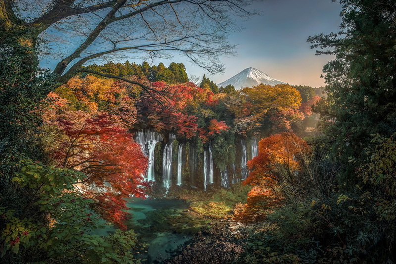 Shiraito Falls, forest, Fuji, Japan, 1080P, Fujinomiya, Mount Fuji, mountain, trees, waterfall, autumn, the volcano