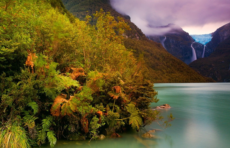 shrubs, nature, forest, Patagonia, ferns, mountains, lake, waterfall, landscape, clouds, glaciers, Chile, 480P