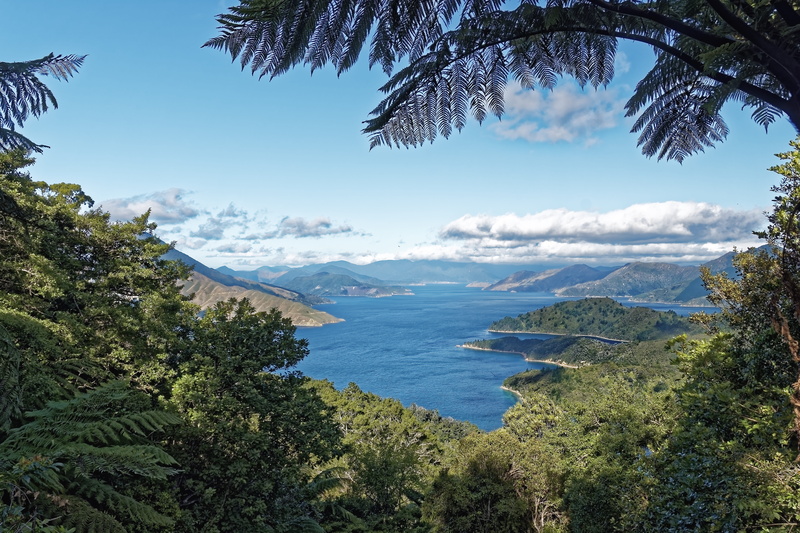 nature, mountain, sky, land, beauty in nature, trees, bay, new zealand, plant, green color, cloud - sky, sea, 8K, non-urban scene, clouds, fern, mountains