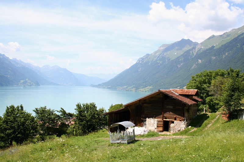 tranquil scene, brienz, water, tree, mountain range, scenics - nature, near, architecture, building exterior, lake of brienz, mountain peak, switzerland