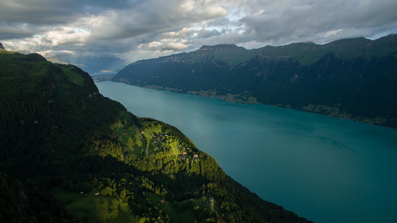 brienz, tree, lake brienz, above, tourism, outdoors, no people, non-urban scene, scenics - nature, 2K, plant, turquoise colored, land, swiss, switzerland