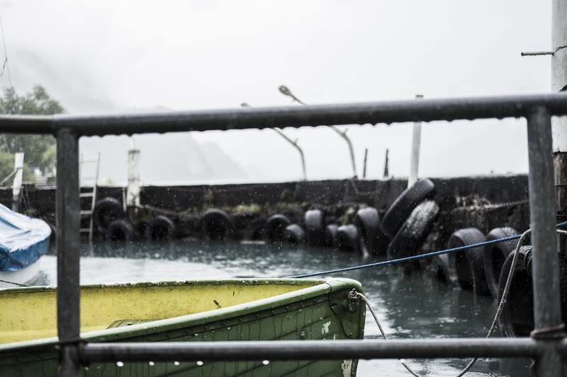 boat, outdoors, river, boot, lake, transportation, schweiz, nautical vessel, rain, weather, sky, group of animals, grey, day, brienz, vertebrate, wasser