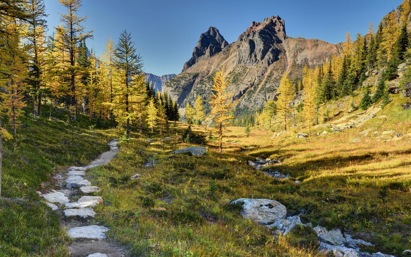 1080P, National, Canada, Trees, Park, Mountains, Yoho, Paths, Walking