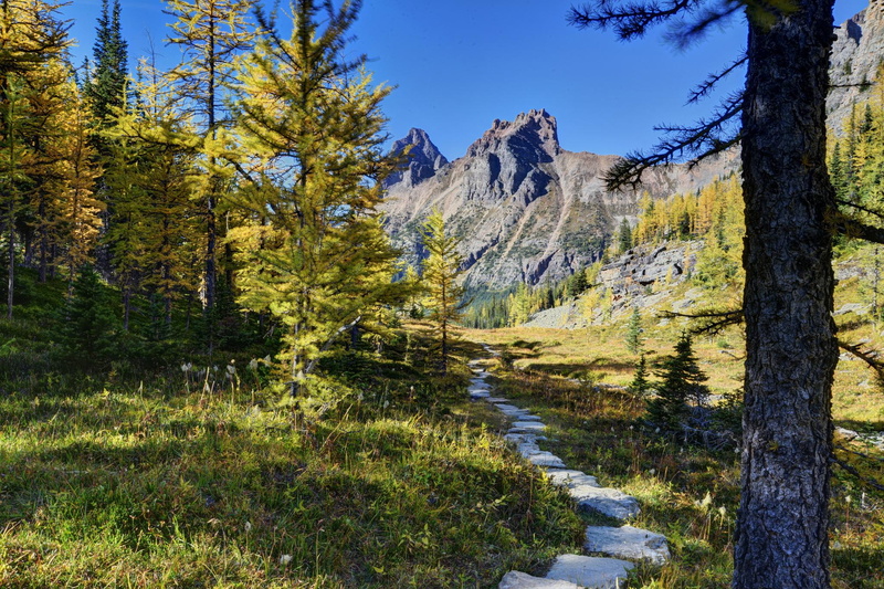 national, canada, trees, mountains, yoho national park, yoho, landscape, 1080P, park