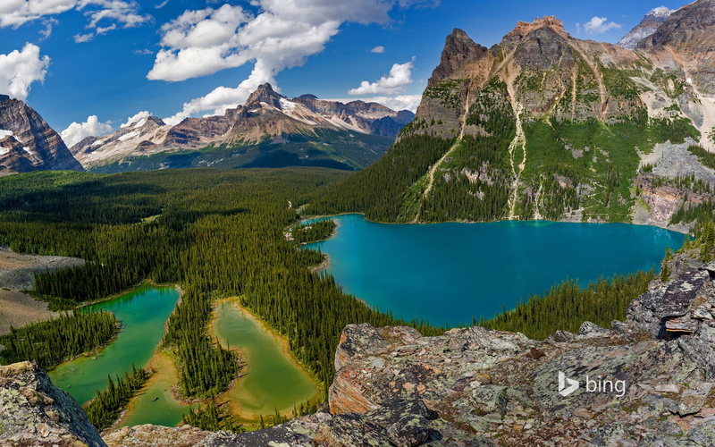 trees, lake Ohara, British Columbia, 1080P, nature, Yoho national Park, Canada, mountains