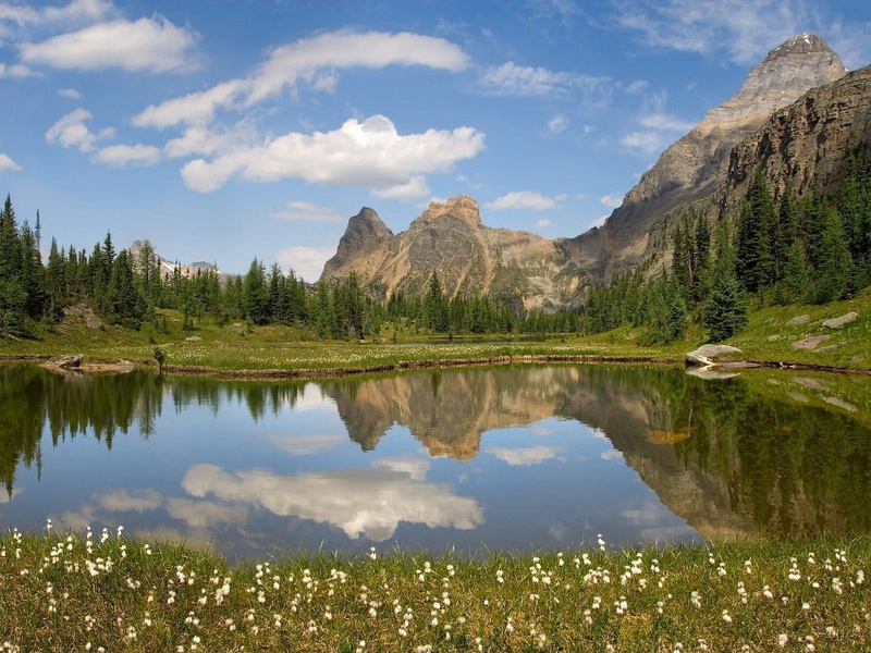 480P, yoho, water, british, mountains, columbia, nature, moor, art, national, sky, hd, lakes, Flowers, canada, park