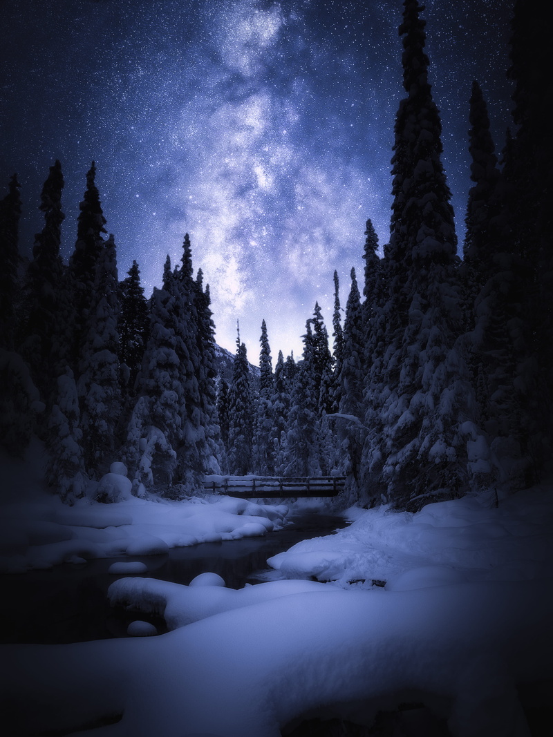 5K, yoho, covered, galaxy, nature, pine, night, forest, astronomy, winter, night sky, nighttime, jasper, banff, scenics - nature, no people, explore, star - space