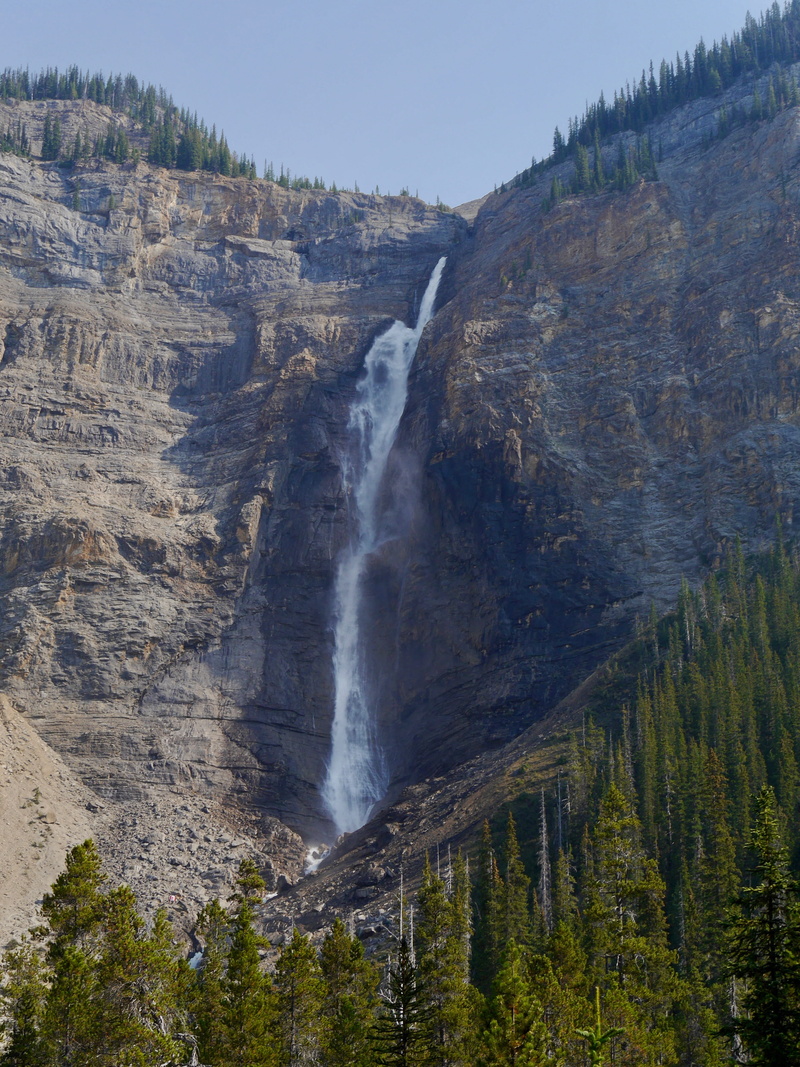 yoho, flowing water, idyllic, forest, non-urban scene, canada, long exposure, tree, plant, takakkaw falls, scenics - nature, power in nature, blurred motion