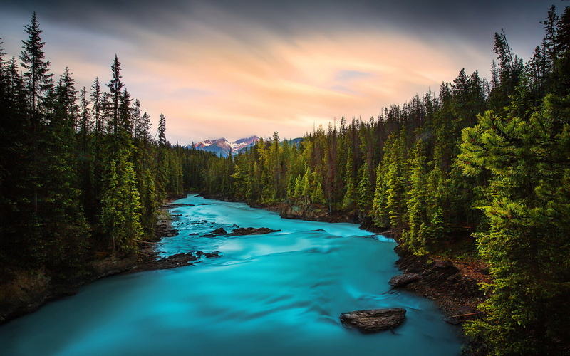 forest, desktop, columbia, hd, national, pine, park, mountain, yoho, stream, beautiful, rocks, british, canada, green, 2K, waterfall