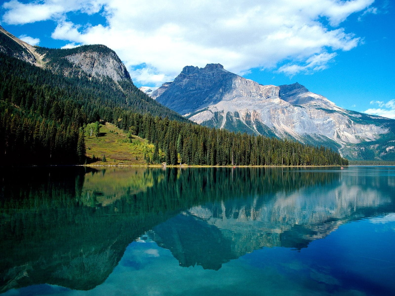 landscape, european Alps, canada, plant, mountains, valley, trees, extreme Terrain, wilderness Area, summer, banff, snowcapped mountain, emerald lake, tree
