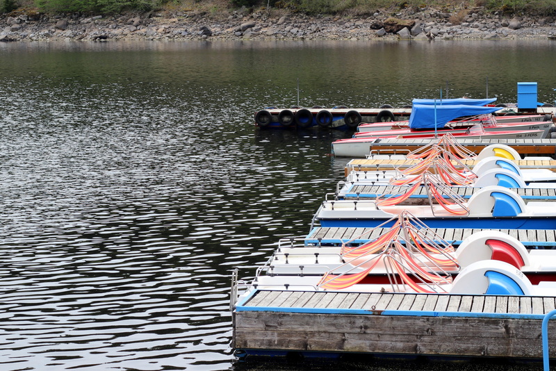floating on water, fun, boat, rental, sport, water, colorful, mode of transportation, moored, waterfront, lake, no people, waters, transportation, leisure