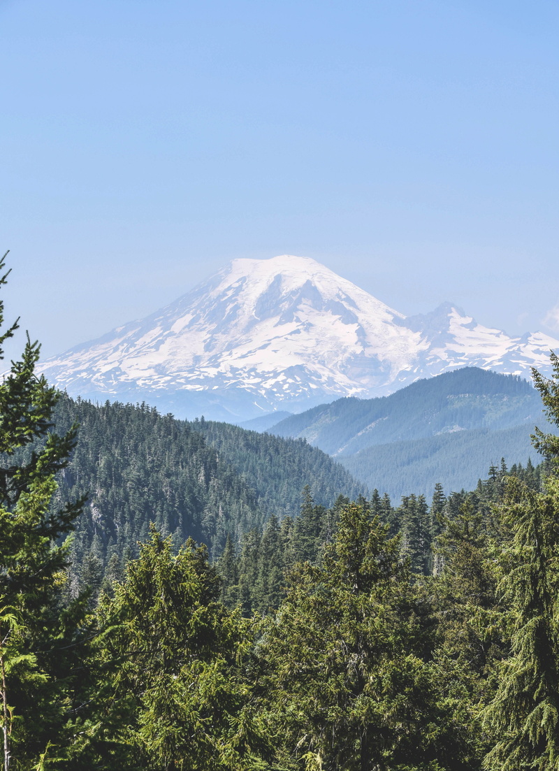 idyllic, non-urban scene, mountain range, mt rainier, green color, no people, national park, mountains, plant, environment, mountain peak, outdoors, growth
