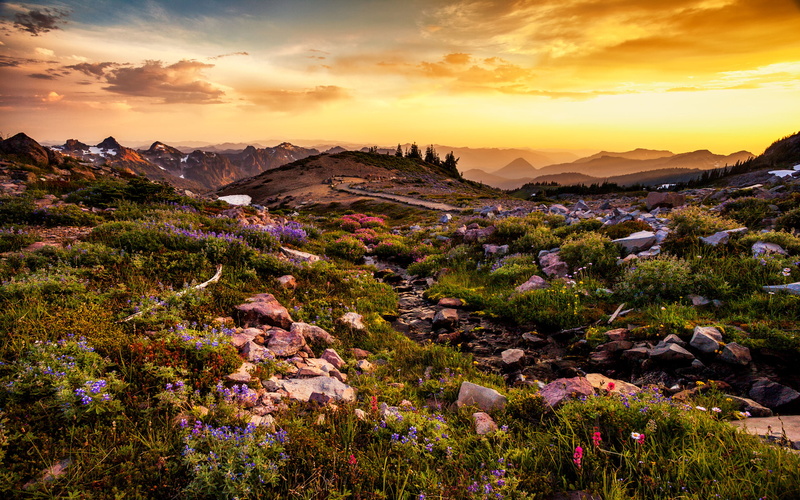 tranquility, desktop, sky, land, washington, national, beauty in nature, tranquil scene, hd, landscape, idyllic, scenics - nature, wild, romantic sky
