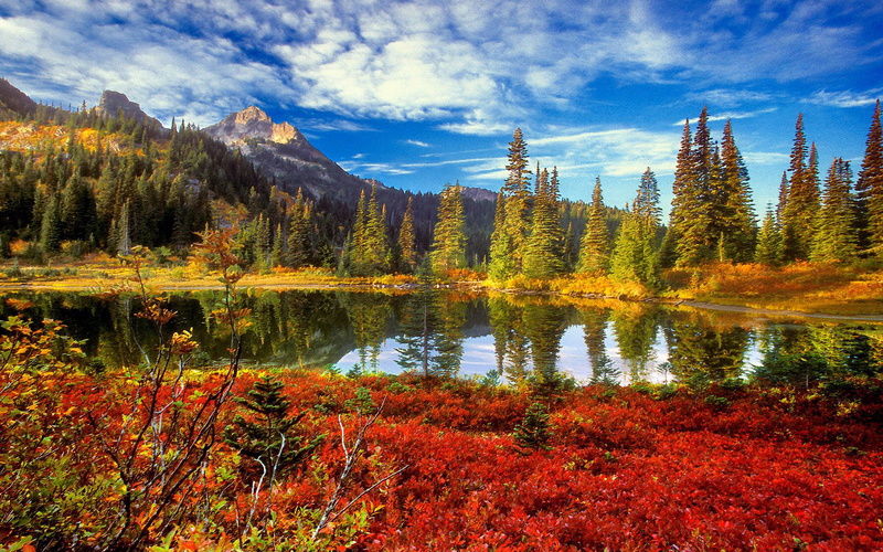 park, mount, landscape, tatoosh, 2K, wilderness, rainier, washington, hd, national