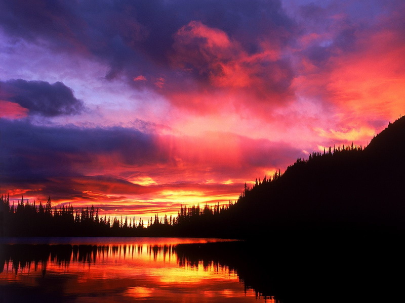 720P, sunrise, washington, rainier, mount, park, national