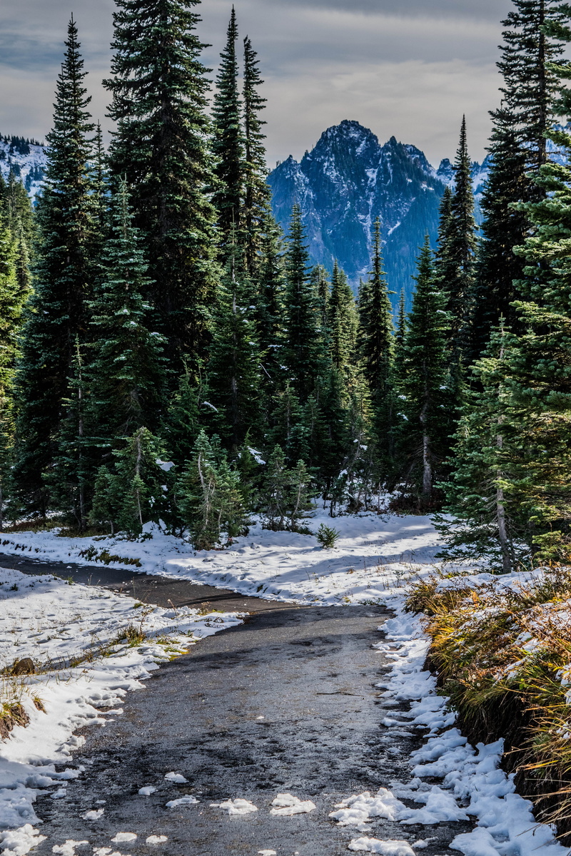 beauty in nature, nature, no people, united states, snow, 5K, flowing water, growth, cold temperature, outdoors, plant, day, water, mountain, winter, tree