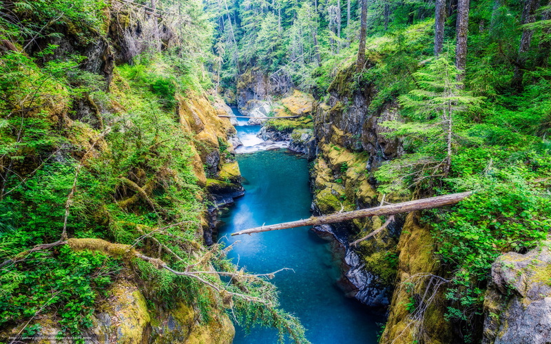 falls, water, mount, pine, hd, forest, park, river, canyon, trees, usa, coast, national, 1080P, clear, silver, rainier, mountain, rocky