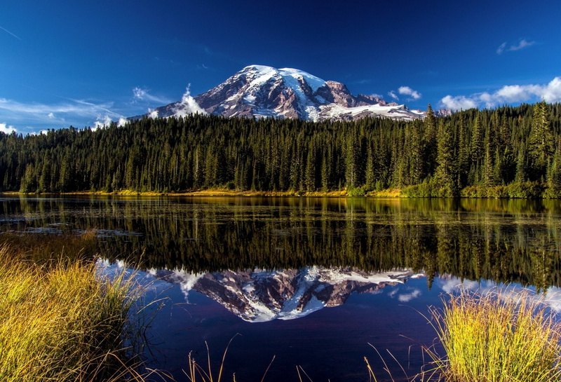 mount, 1080P, park, rainier, lake, reflection, mountain, landscape, national, volcano, forest