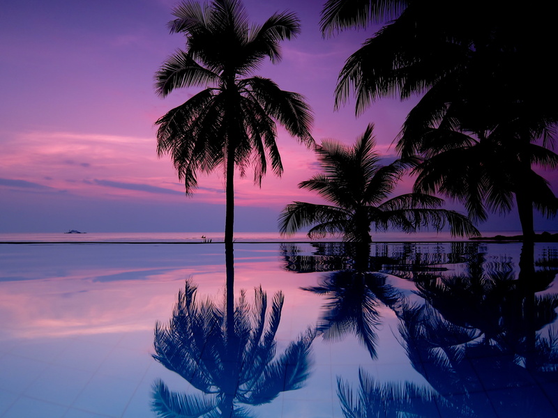 plant, sky, water, nature, outdoors, sunset, purple, tranquil scene, idyllic, coconut palm tree, beauty in nature, reflection, no people, tropical climate