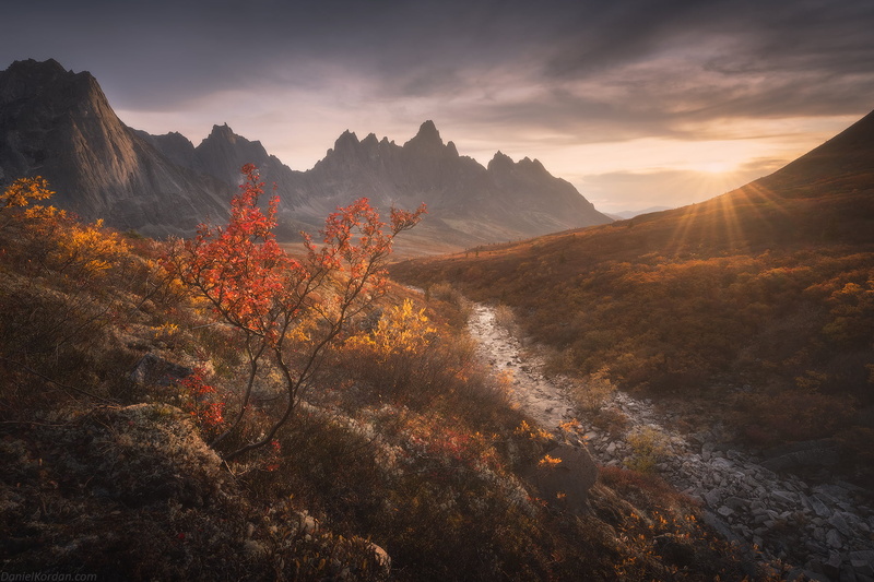 nature, sunset, mountains, sun rays, landscape, Daniel Kordan, plants, Yukon, 720P, peak