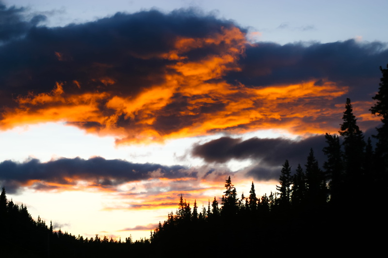 forest, tree, 2K, orange color, tranquil scene, silhouette, sunset, idyllic, canada, beauty in nature, yukon territory, plant, tranquility, trees, pine tree