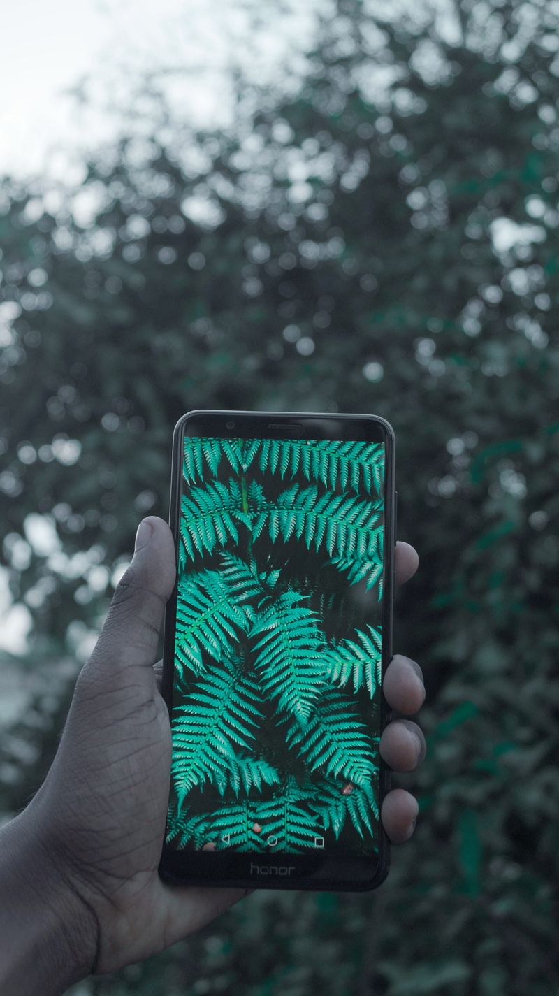 body part, kochi, hand, outdoors, one person, human finger, technology, india, tree, nature, focus on foreground, 5K, unrecognizable person, communication