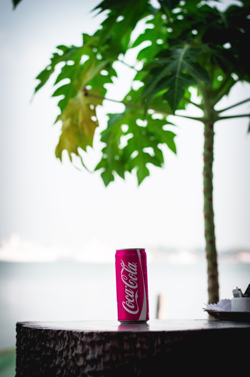 close-up, built structure, trees, beach, coke, romance, communication, outdoors, growth, romantic, text, restaurant, white, green, coca cola, kochi, fort kochi