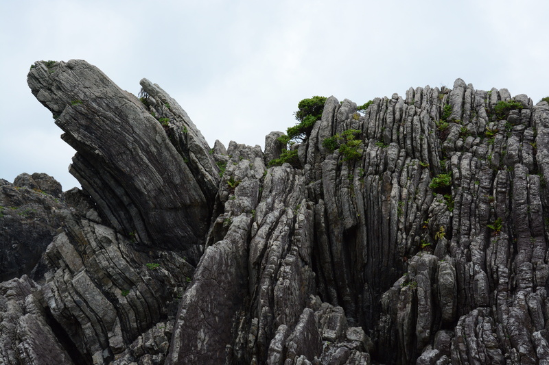 rock - object, no people, rock formation, 5K, eroded, Cape, rough, rock, non-urban scene, Kochi Prefecture, solid, formation, outdoors, beauty in nature