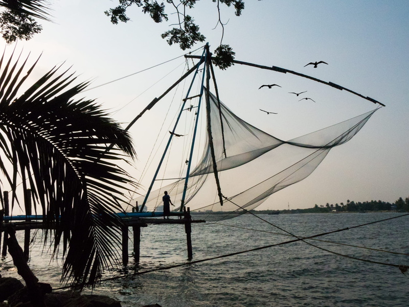 real people, water, sky, leisure activity, birds, kochi, men, transportation, 1080P, silhouette, fishing, nature, lifestyles, sea, outdoors, people, scenics - nature