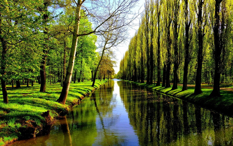 3d and abstract, river, trees, 1080P, backwater, walkway, alley