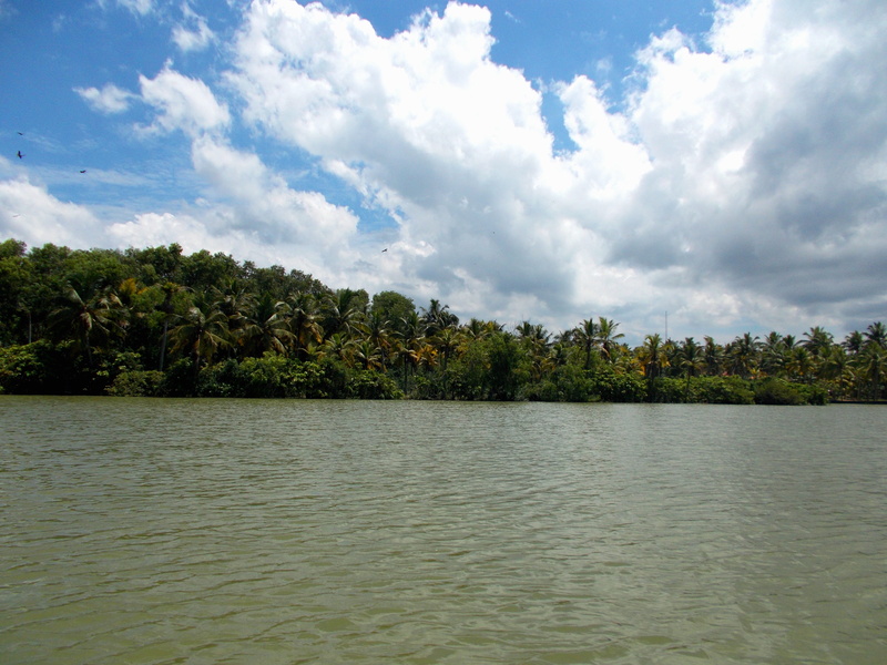 nature, water, view into land, cloud - sky, outdoors, tranquility, scenics - nature, trivandrum, tranquil scene, lake, idyllic, tree, growth, beauty in nature