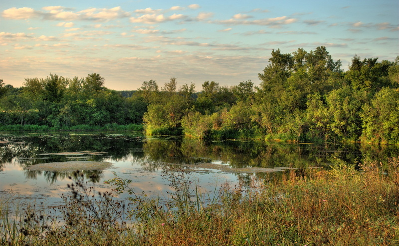 non-urban scene, tranquil scene, water, tree, green, Backwater, near, 4K, Minnesota, plant, cloud - sky, scenics - nature, outdoors, no people, River