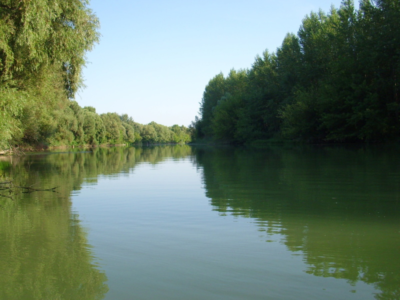 backwater, current, outdoors, tranquility, river danube, the danube, scape, slovakia, stream, no people, waterfront, scenics - nature, plant, lake, water