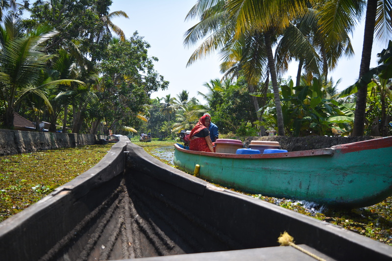 palm tree, boats, transportation, real people, village, water, nautical vessel, growth, india, one person, life, kerela, villages, mode of transportation