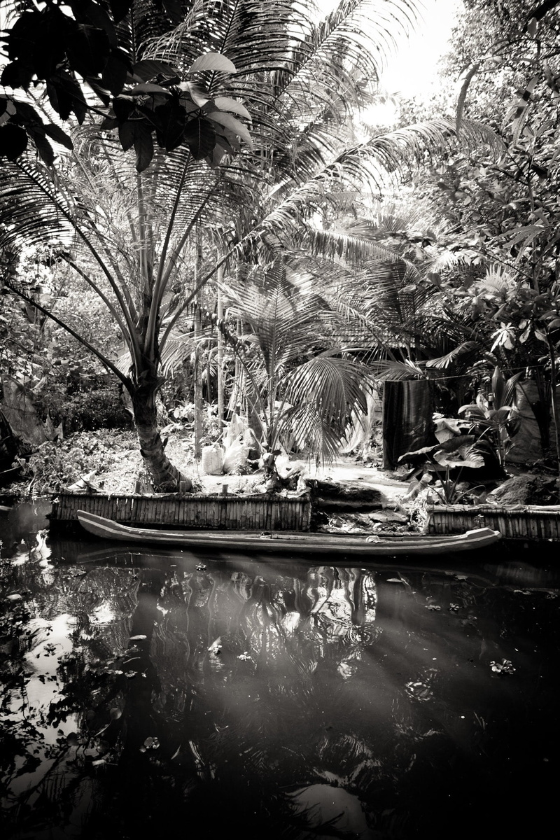 palm tree, tropical climate, backwaters, river, tranquil scene, india, waterfront, kerala, plant, 1080P, landscape, nautical vessel, tree, growth, tranquility