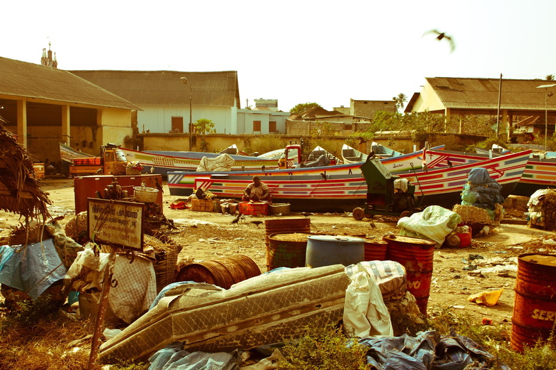 boot, city, roof, kerala, animal, architecture, clear sky, day, building, no people, fishing, 1080P, wood - material, fishing boat, backwaters, fishing net