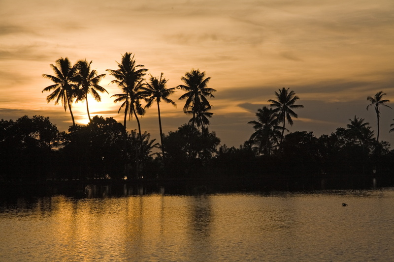 no people, trees, reflection, photo, plant, india, tranquility, palm tree, orange color, kerala, silhouette, outdoors, sunset, sky, coconut, body, tropical climate
