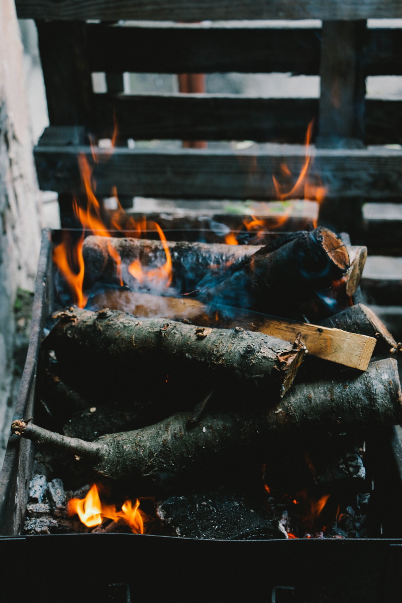 food, close-up, ablaze, daytime, wood - material, burn, barbecue, environment, buring, no people, 5K, food and drink, warming, preparing food, temptation