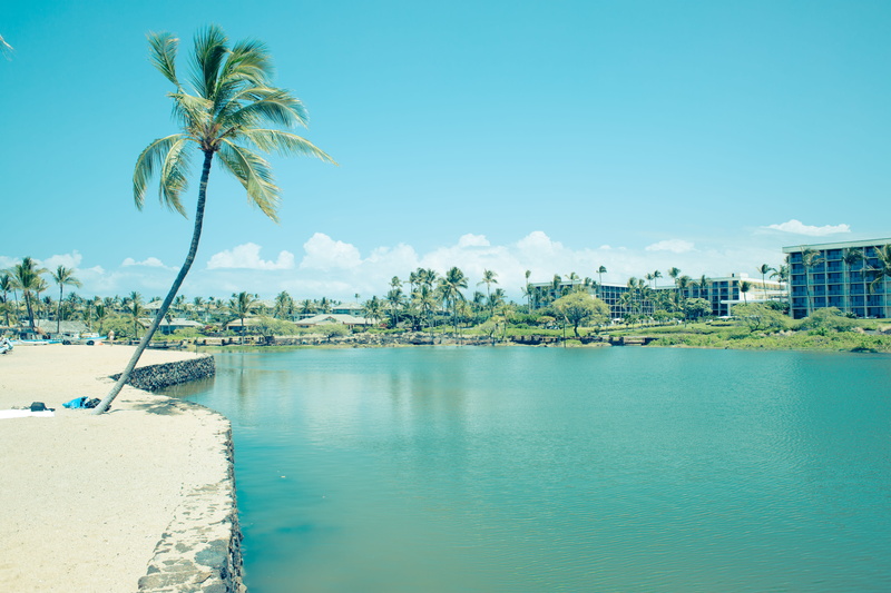 palm tree, building exterior, resort, tropical climate, united states, blue, built structure, nature, plant, sky, ocean, swimming pool, beach, city, waikoloa village