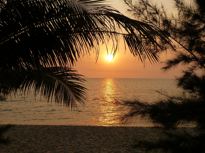 tropical climate, tree, scenics - nature, evening, twilight, vietnam, dark, palm tree, afterglow, coast, tranquil scene, sun, land, palm, tourism, idyllic