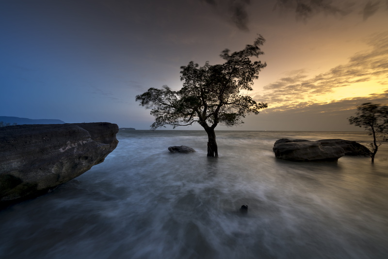 8K, tropical, photo, solid, the beach, light, sunset, scenics - nature, sea, trees, rock, horizon, sky, tranquil scene, mangrove, quiet, forest, sand