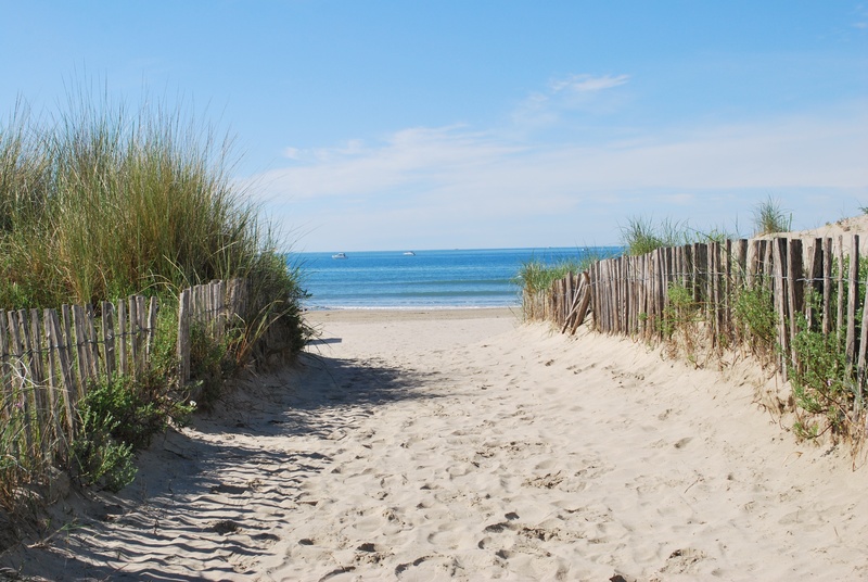 fences, marram grass, tranquility, sky, la grande motte, montpellier, wooden post, horizon over water, day, grass, outdoors, sea, tranquil scene, scenics - nature