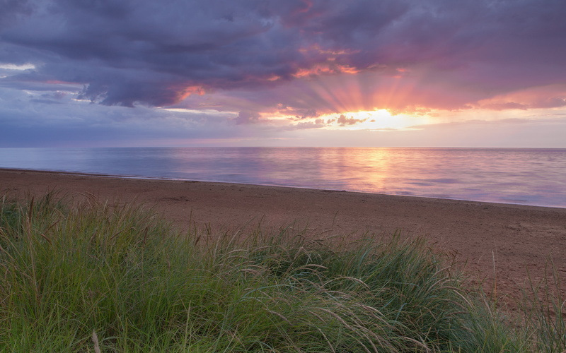 sunset, tranquil scene, sky, marram grass, landscape, non-urban scene, grass, horizon over water, 4K, cloud - sky, tranquility, idyllic, scenics - nature